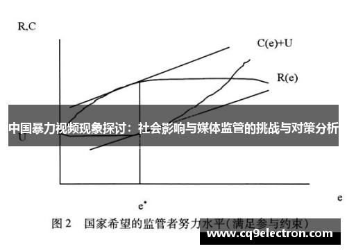 中国暴力视频现象探讨：社会影响与媒体监管的挑战与对策分析